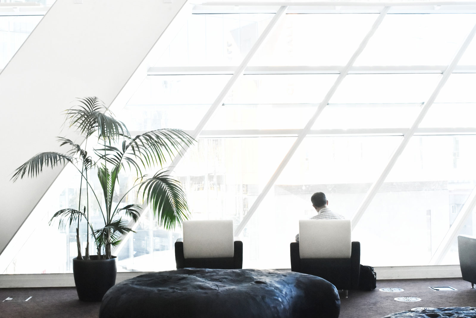 Office space with large windows and an office plant