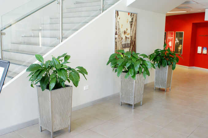 plants in hotel reception lining a staircase