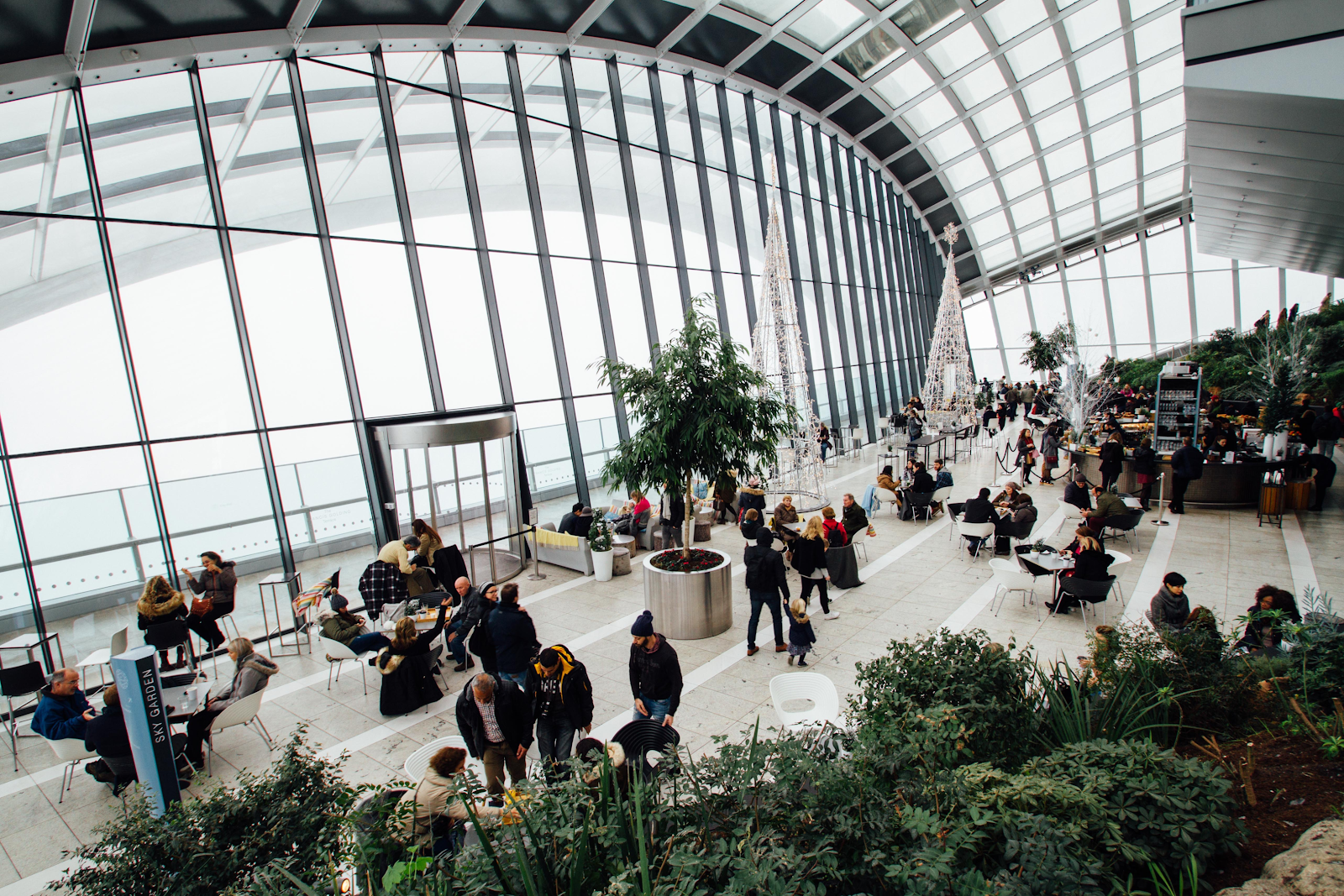 open plan commercial space filled with people and indoor plants