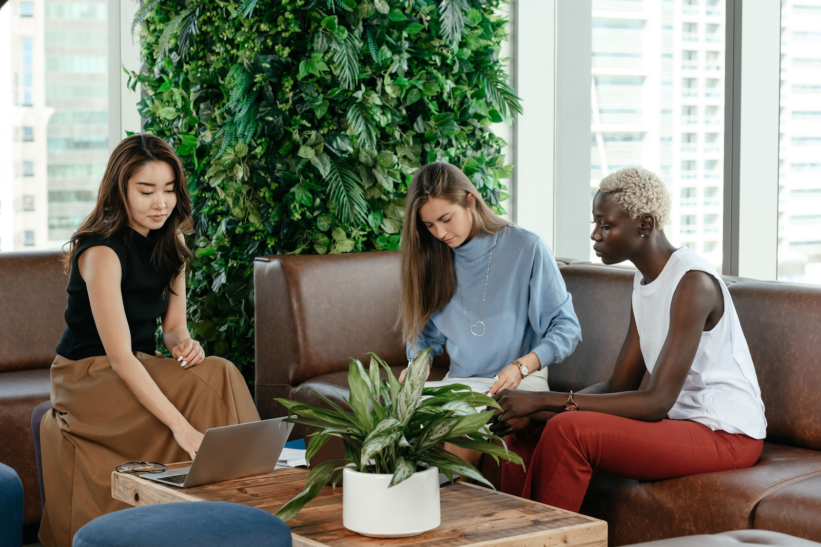 Professionals sat on a sofa in an office with a living wall and indoor plants.