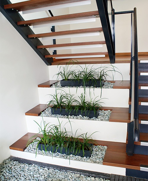 Office Plant Hire Services Brisbane Prestigious Plantscapes