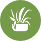 plant icon