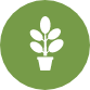 plant icon