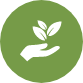 plant icon