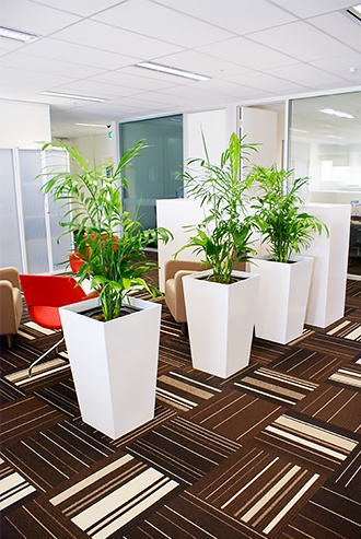 Plantscape design example