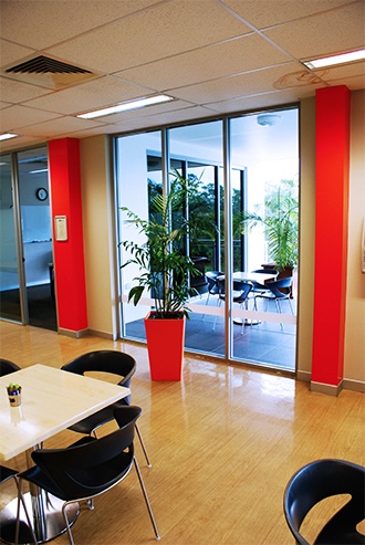 Red office plant near window