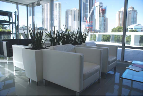 Office Plant Hire Brisbane