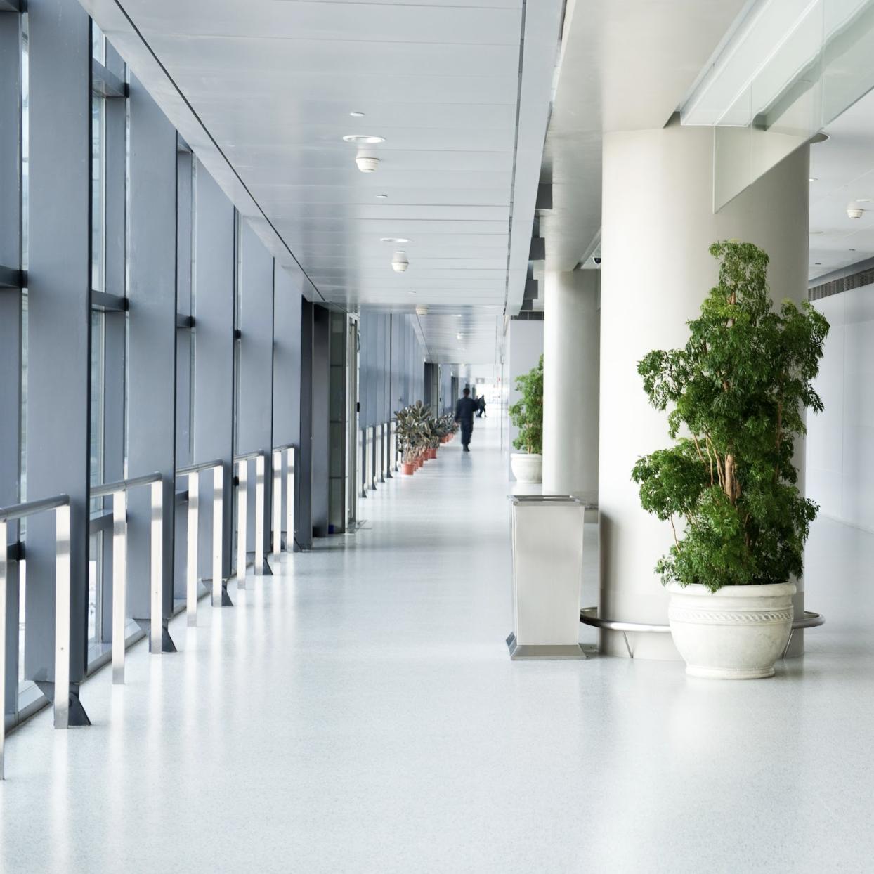 indoor plants inside airport terminal