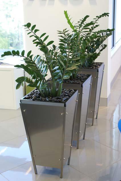 Professionally designed indoor plants