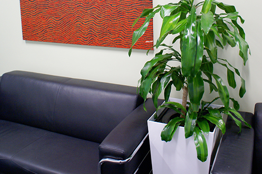 indoor plants fights sick building syndrome