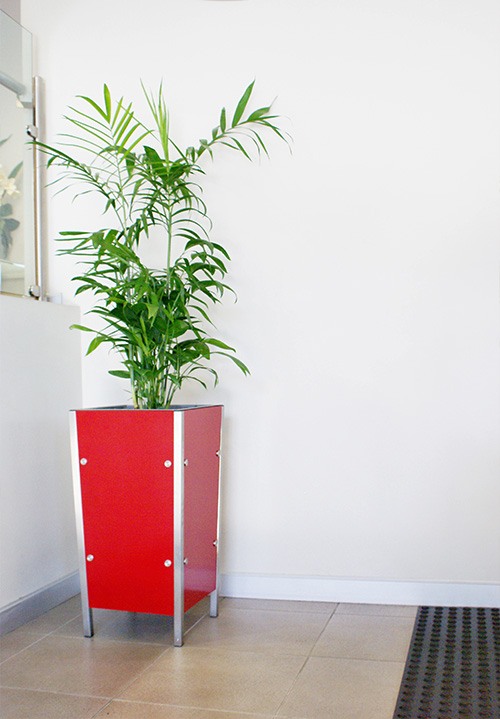 indoor-plant-1