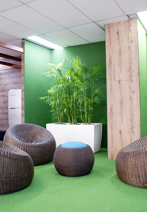 indoor-plant-5