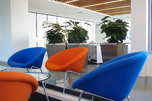 Chairs next to office plants