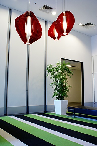 Brisbane office hires indoor plants