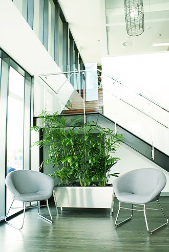 Styling indoor plants