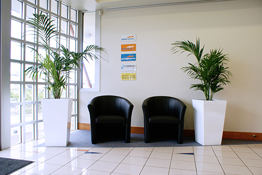 two black chairs between palm plants