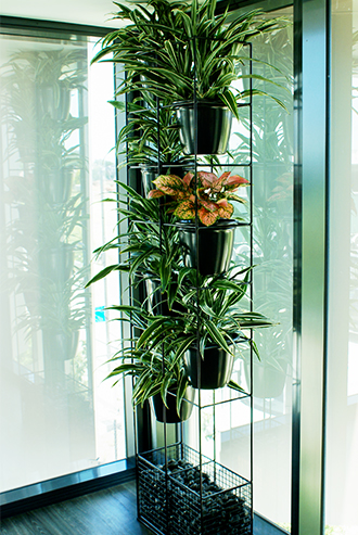 Tall plant feature