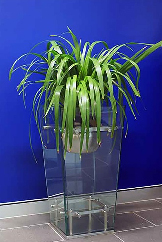 Beautiful plantscape
