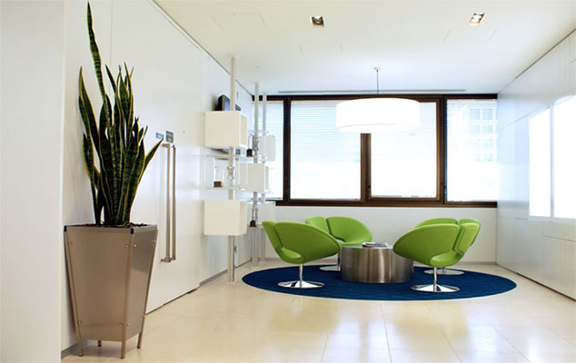 indoor plant in common area