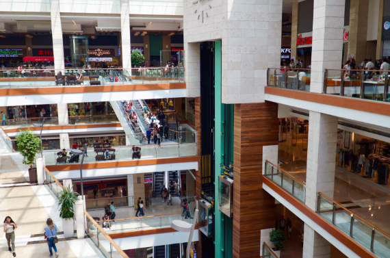 mall indoor plant hire brisbane