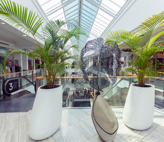 Shopping Centre indoor plant hire brisbane