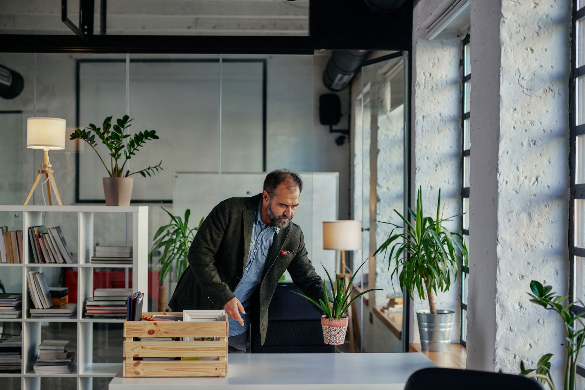 adult businessman back to work and taking out belongings from crate box full of office supplies. He is decorating office table with plant