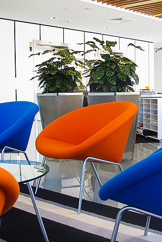 Indoor Plant Hire - Prestigious Plantscapes