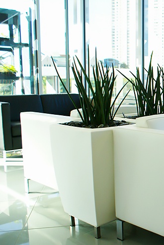 White plantscape in reception